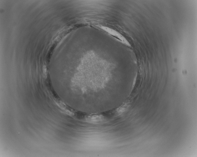 X0000077320716200611171742