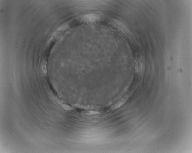 X0000077320718200611171742