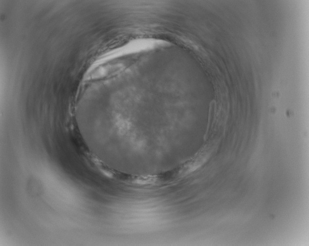 X0000077320720200611171742