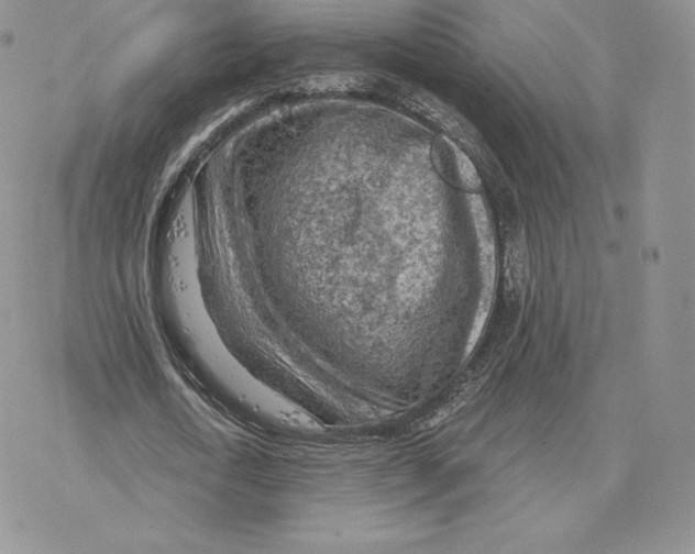 X0000077320722200611171741