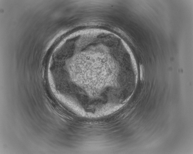 X0000077320723200611171741