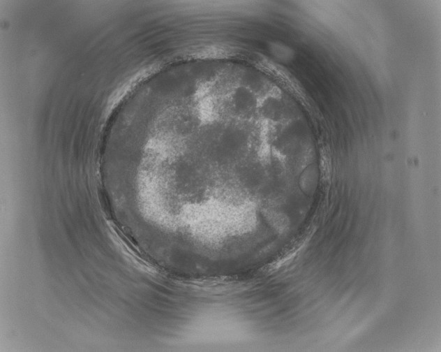 X0000077320725200611171741