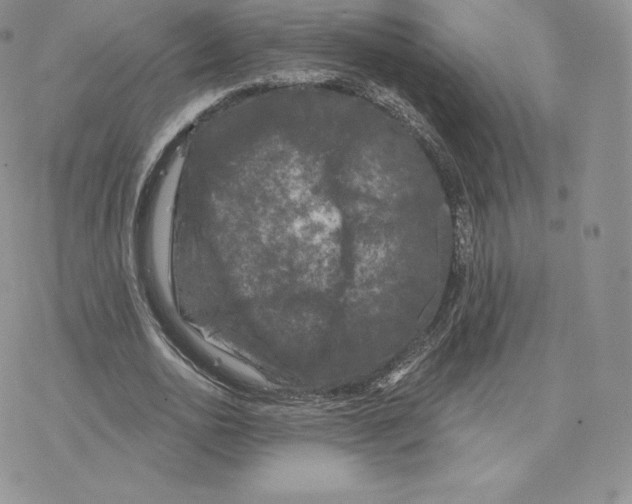 X0000077320726200611171742