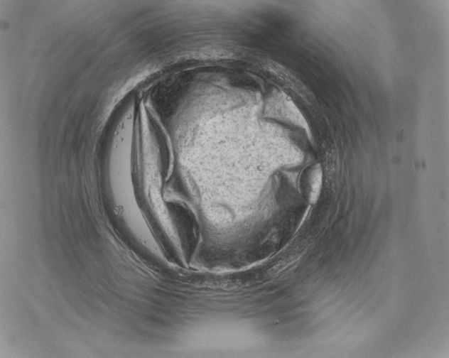 X0000077320727200611171742