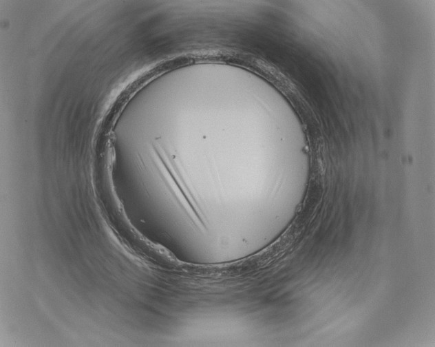 X0000077320728200611171742