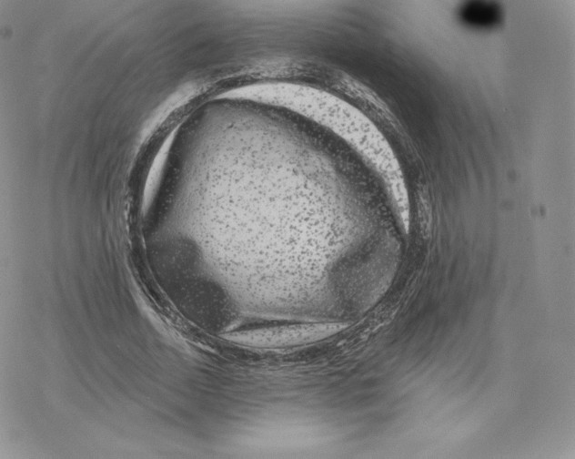 X0000077320730200611171742