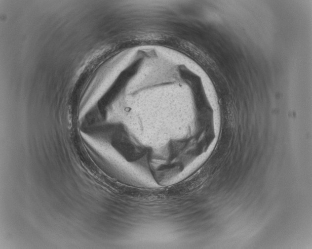 X0000077320731200611171742