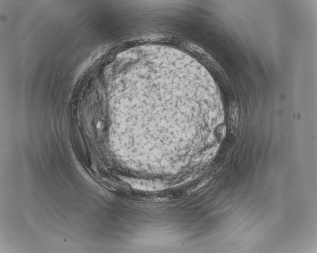 X0000077320734200611171742