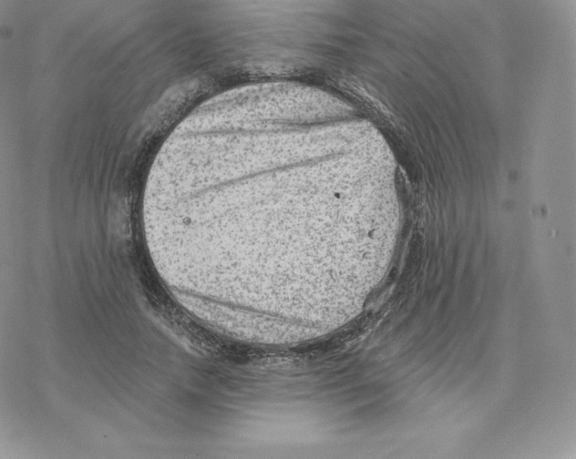 X0000077320738200611171742