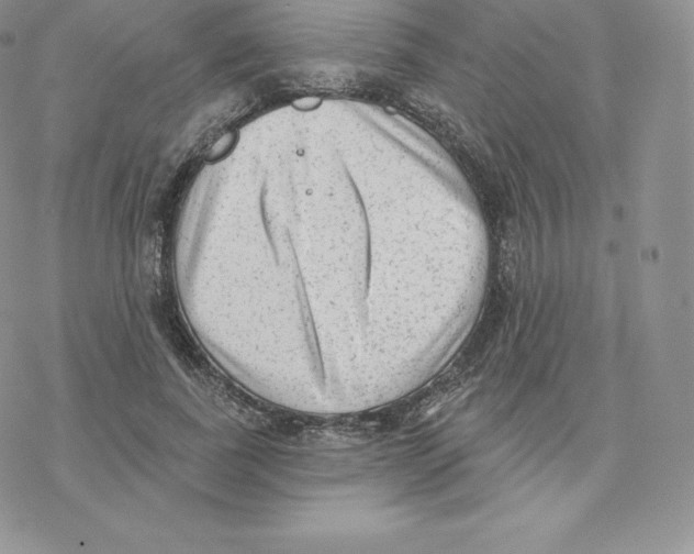 X0000077320739200611171742