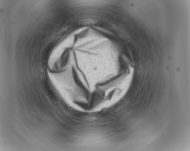 X0000077320743200611171742