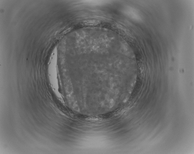 X0000077320745200611171742