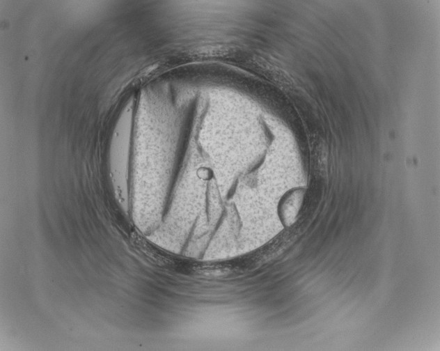 X0000077320746200611171742