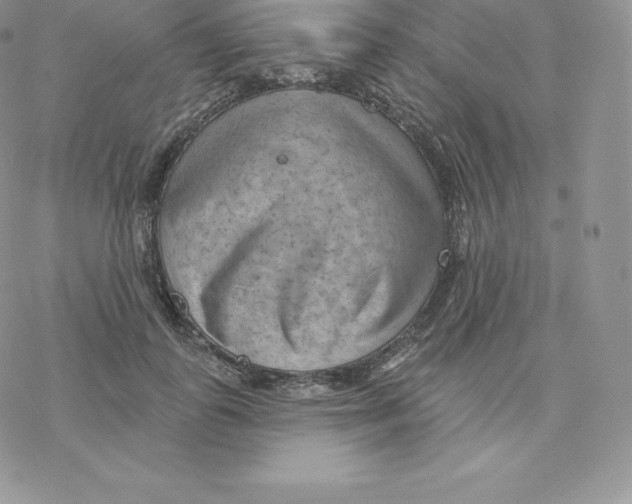 X0000077320747200611171742