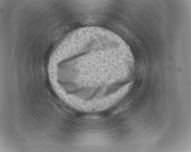 X0000077320749200611171742