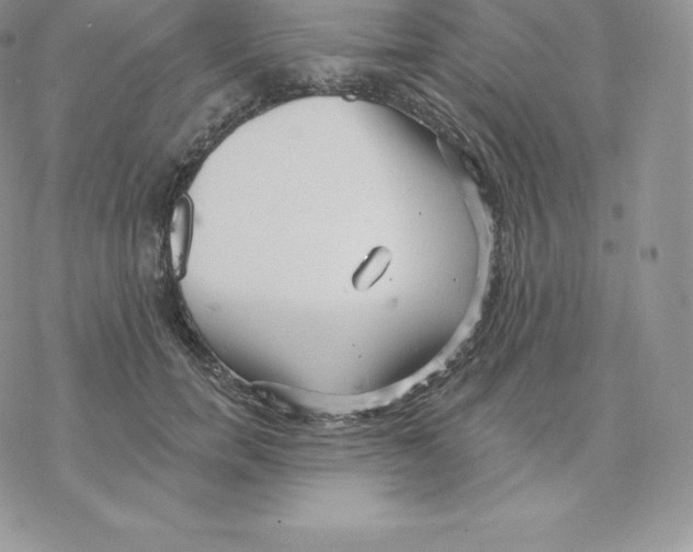 X0000077320750200611171742