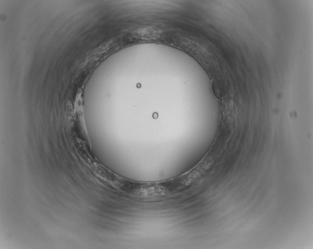 X0000077320752200611171742