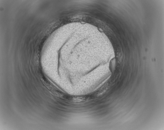 X0000077320753200611171742