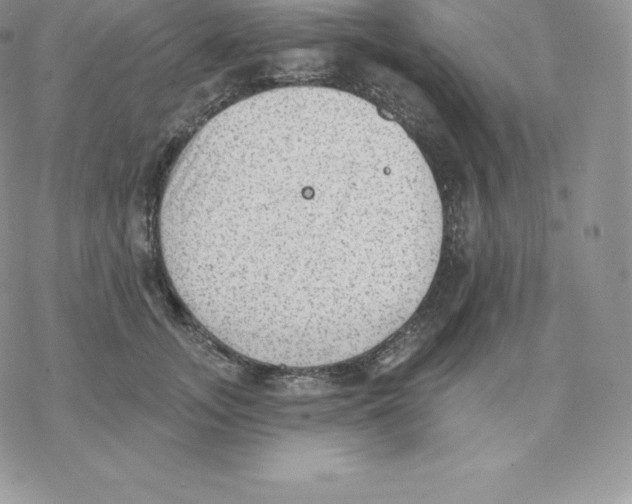 X0000077320755200611171742