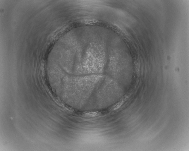 X0000077320757200611171742