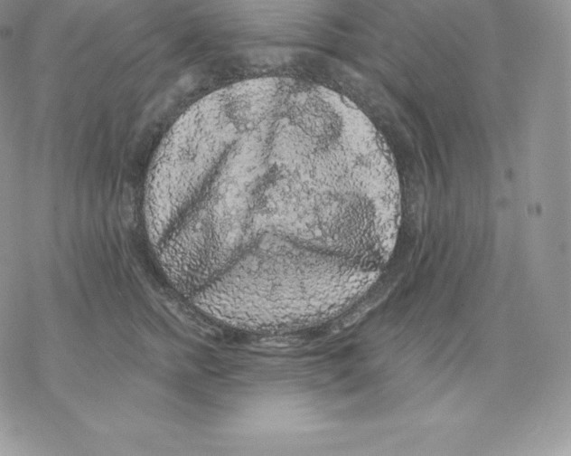 X0000077320758200611171742