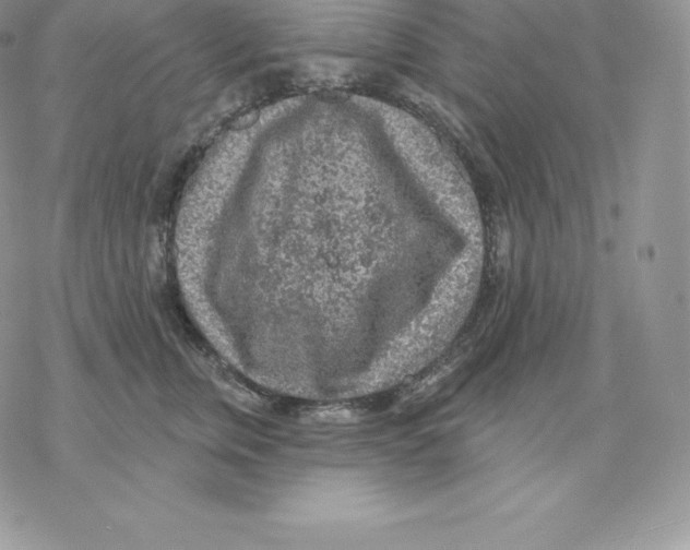 X0000077320759200611171742