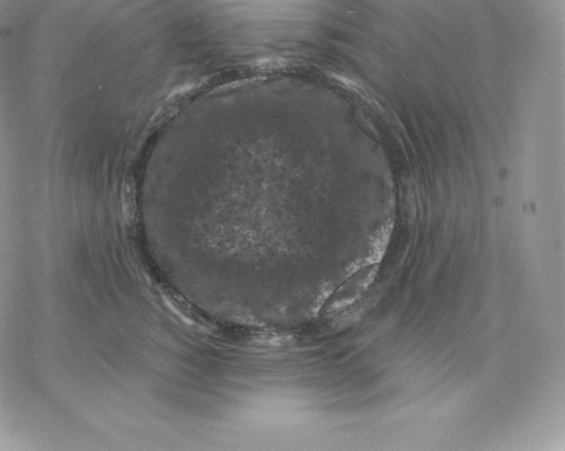 X0000077320760200611171742