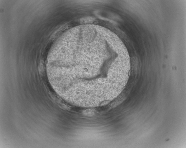 X0000077320761200611171742