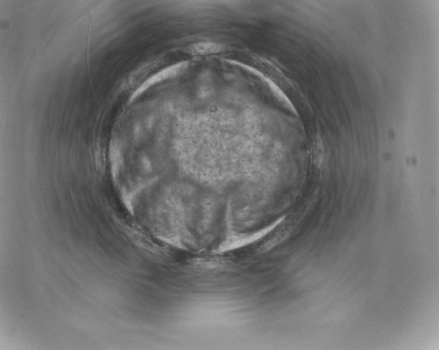 X0000077320763200611171742