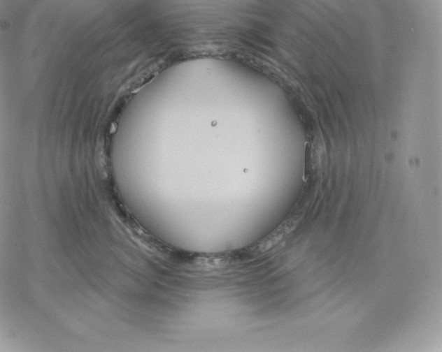 X0000077320764200611171742