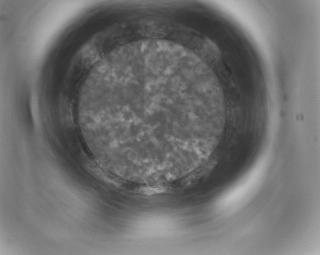 X0000077320765200611171742