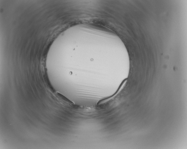 X0000077320768200611171742