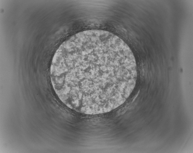 X0000077320769200611171741