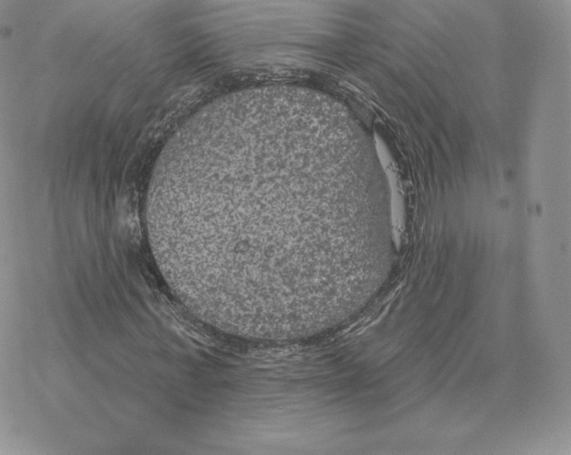 X0000077320771200611171741