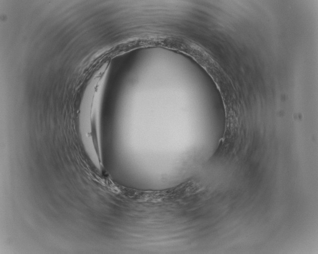 X0000077320773200611171741