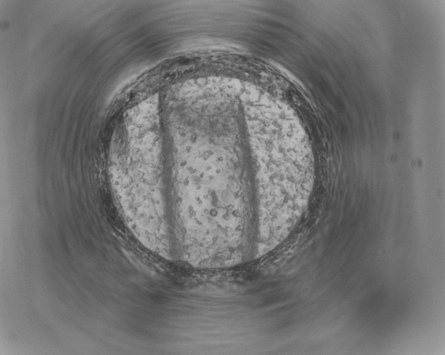 X0000077320775200611171741