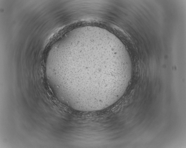 X0000077320776200611171741