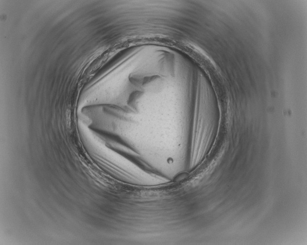 X0000077320777200611171741