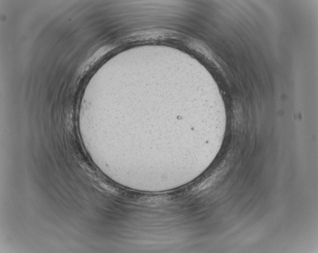 X0000077320778200611171741