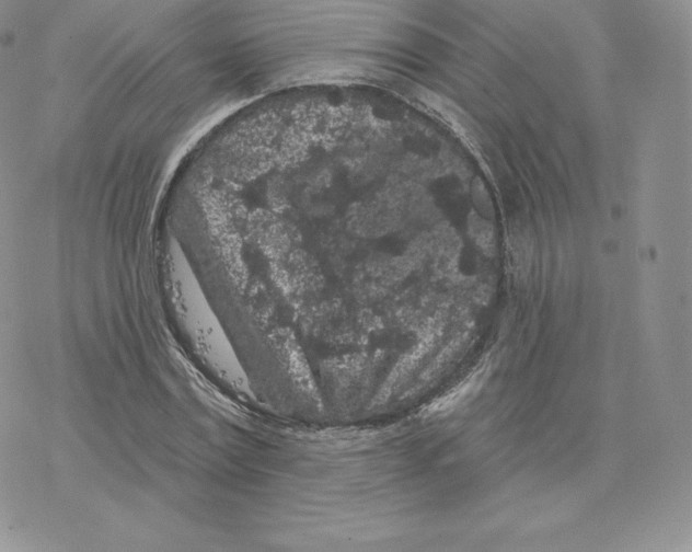 X0000077320779200611171741