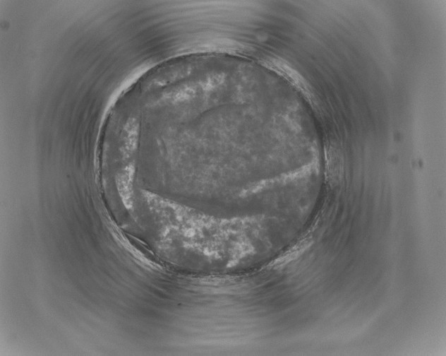 X0000077320780200611171741