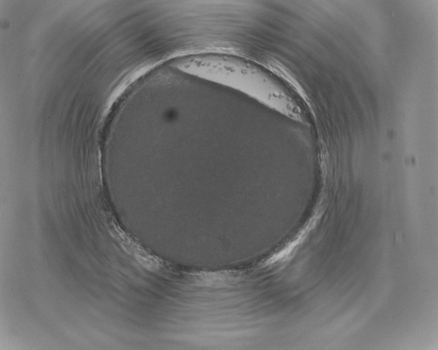 X0000077320781200611171741