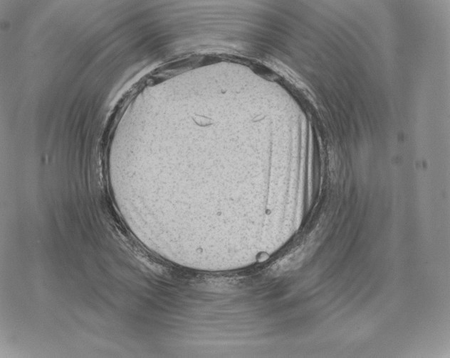 X0000077320782200611171741