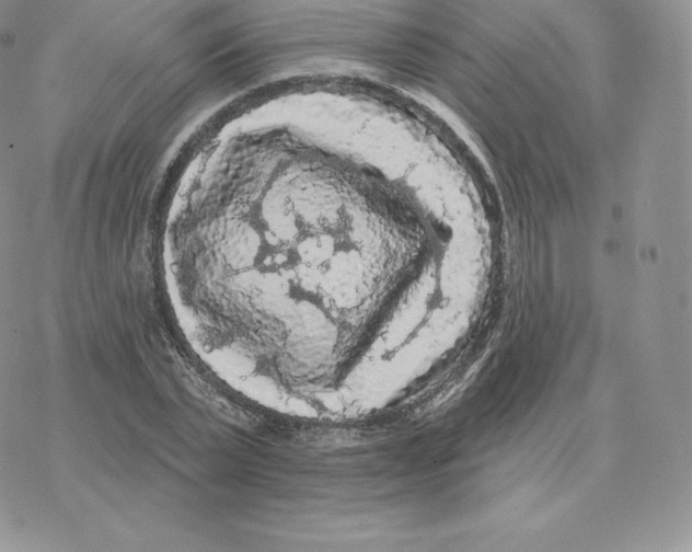 X0000077320783200611171741