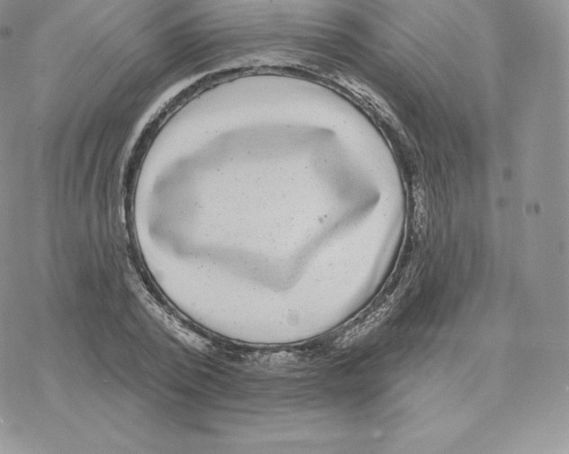 X0000077320784200611171741