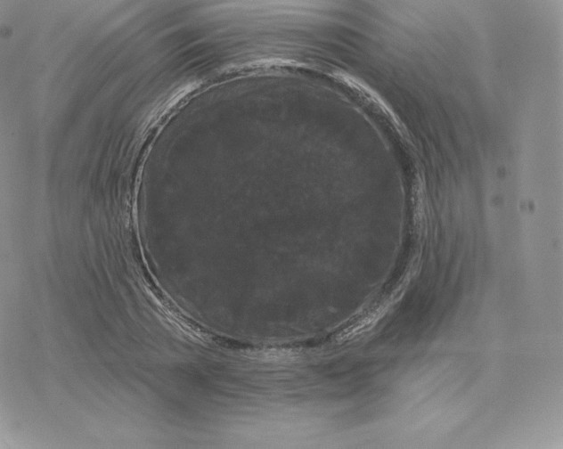 X0000077320785200611171741