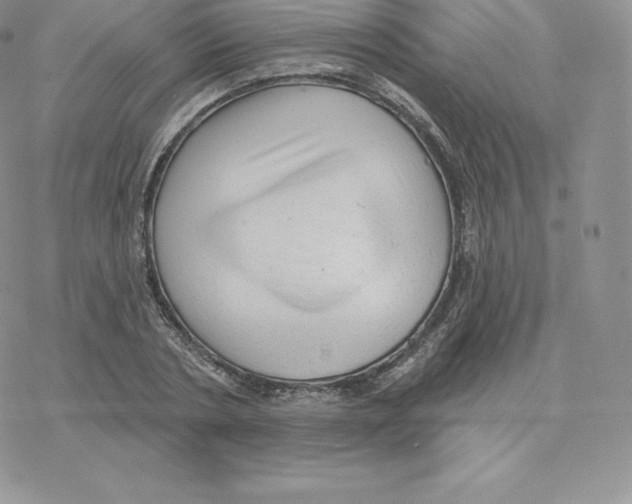 X0000077320786200611171741