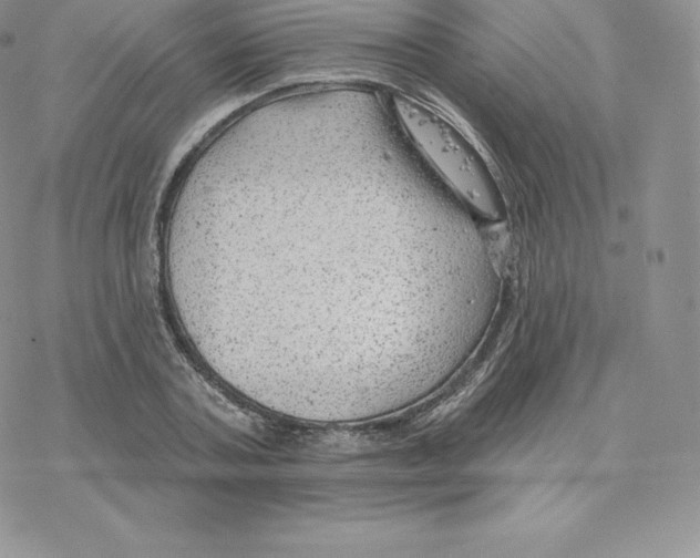 X0000077320787200611171741