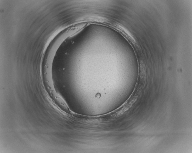 X0000077320788200611171741