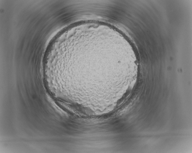 X0000077320791200611171741